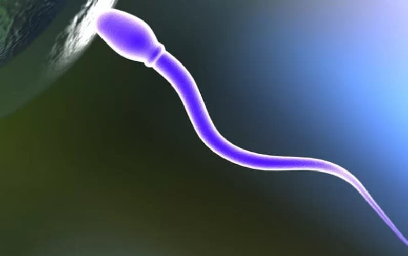  Naučnici razvijaju kontraceptivne pilule za MUŠKARCE kako bi zaustavili spermu