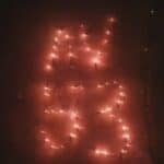 Danilo Vučić čestitao svom "tati" rođendan uz BAKLJADU na Ušću (VIDEO)