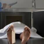 Revolucionarna analiza otkriva da su vakcine protiv COVID-a izazvale 300.000 viška smrtnih slučajeva i to samo u Americi