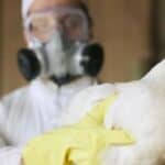 Pandemija 2.0: Priprema se nova mRNK vakcina, sada protiv Ptičjeg gripa