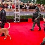 Liberalne elite grade zidove i zapošljavaju naoružano obezbeđenje da zaštite poznate ličnosti tokom dodele Oskara