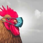 PONOVO ONI! U Kini sada prijavljena prva dva slučaja PTIČJEG GRIPA kod ljudi