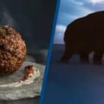 Naučnici su napravili jestivu ćuftu od davno izumrlog vunastog mamuta