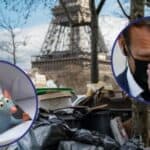 Francuska: Invazija pacova dok se na ulicama Pariza nagomilalo 10.000 tona smeća