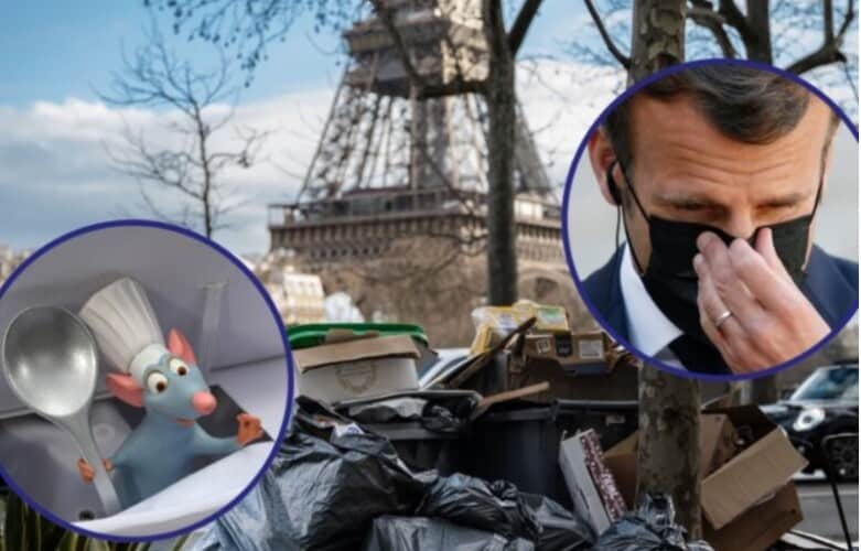  Francuska: Invazija pacova dok se na ulicama Pariza nagomilalo 10.000 tona smeća