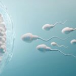 Globalni broj spermatozoida opao za više 50 odsto u poslednjih nekoliko decenija- Globalisti trljaju ruke a ovo su glavni uzroci