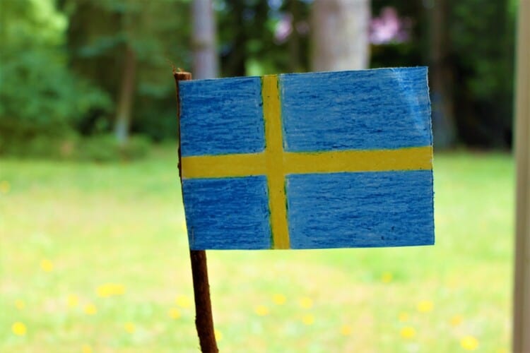  Švedska povećala NOVČANA DAVANJA za migrante koji prihvate da se vrate svojim kućama