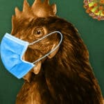 Spremni za novu pandemiju? Mediji najavljuju NOVI SOJ Ptičjeg gripa koji će zaključati ceo svet