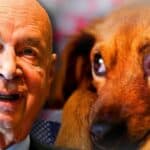 LUDILO 2.0! Svetski Ekonomski Forum kaže da je vreme da se legalizuju seks i brak sa životinjama kako bi se promovisala inkluzija