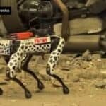 POGLEDAJTE! Pas robot koji radi za policiju i vatrogasce u Njujorku pao na prvom zadatku (VIDEO)