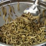 Holandska politička aktivistkinja: Političari znaju da kada kontrolišu hranu, oni kontrolišu ljude