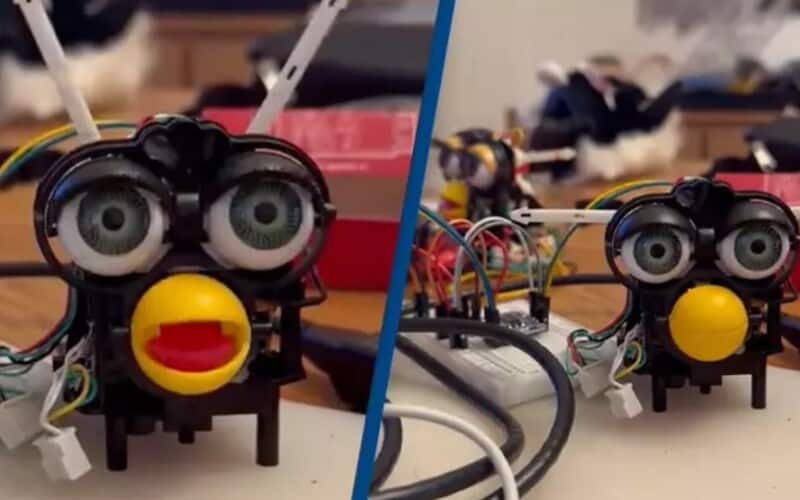  Programer ugradio Veštačku inteligenciju u dečiju igračku a ona mu iznela detaljan plan o preuzimanju celog sveta