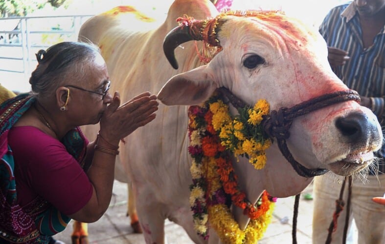  INDIJA: Hinduističke grupe napadaju i ubijaju ljude koji jedu govedinu