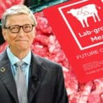 Bil Gejts nastavlja da gura SINTETIČKO MESO koje nosi ćelije najtežeg oblika raka