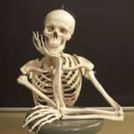 LUDILO! Profesor antropoligije tvrdi da ne postoji razlika između muškog i ženskog skeleta: "Ja sam stručnjak" (VIDEO)