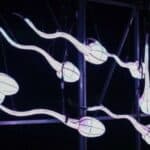 Holandski sud zabranio muškarcu koji je postao otac 550 dece da i dalje donira spermu