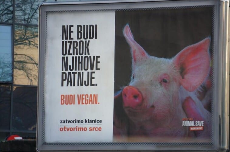  “Woke” ludilo stiglo u Srbiji! U Novom Sadu osvanuli “Pro-Veganski” bilbordi