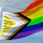 KRENULA je legalizacija pedofilije! "Aktivisti" otkrili novu pedofilsku zastavu