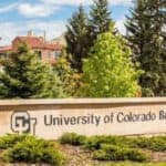 Univerzitet u Americi: SVI SU ROĐENI KAO TRANSRODNI