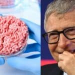 Veštačko meso iz proizvodnje Bil Gejtsa je 25 puta gore po životnu sredinu od govedine otkriva nova studija
