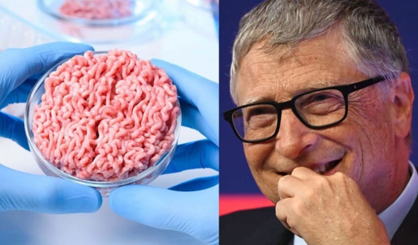 Veštačko meso iz proizvodnje Bil Gejtsa je 25 puta gore po životnu sredinu od govedine otkriva nova studija