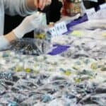 Južna Koreja zaplenila hiljade pilula koje sadrže 'tkivo mrtvih beba u prahu'