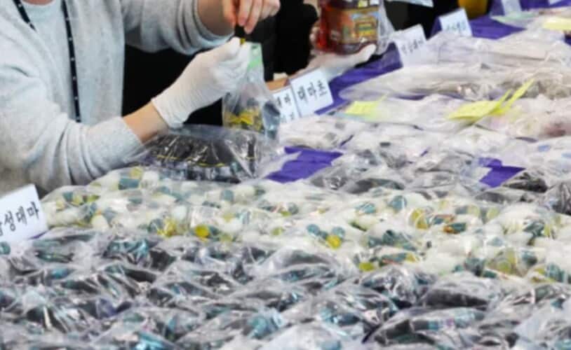 Južna Koreja zaplenila hiljade pilula koje sadrže 'tkivo mrtvih beba u prahu'