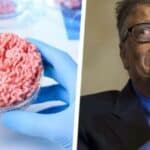 STUDIJA: Veštačko meso Bil Gejtsa ne samo što je kancerogeno već je i gore po KLIMU od prirodne govedine