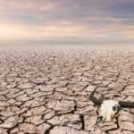 Rat protiv farmera bi mogao izazvati glad