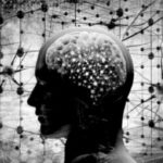 Osnovni zakoni ljudske gluposti