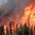 Glavni mediji krive „klimatske promene“ za požare u Kanadi uprkos hapšenju više piromana