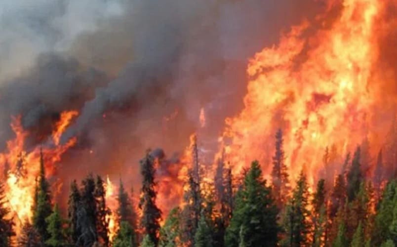  Glavni mediji krive „klimatske promene“ za požare u Kanadi uprkos hapšenju više piromana