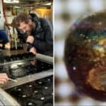 Profesor sa Harvarda uveren da je pronašao delove vanzemaljske tehnologije u vodama Papue Nove Gvineje (FOTO)