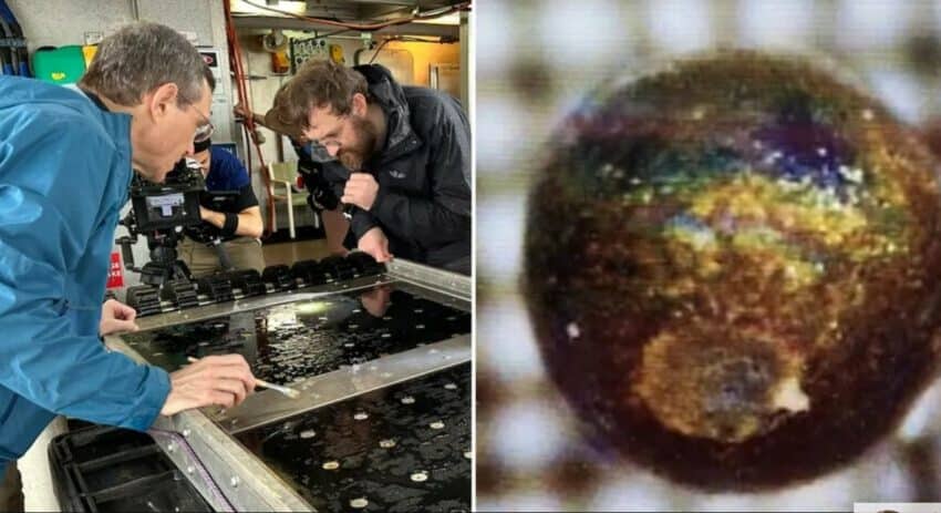  Profesor sa Harvarda uveren da je pronašao delove vanzemaljske tehnologije u vodama Papue Nove Gvineje (FOTO)
