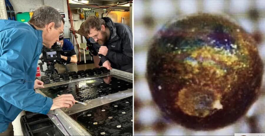 Profesor sa Harvarda uveren da je pronašao delove vanzemaljske tehnologije u vodama Papue Nove Gvineje (FOTO)