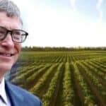 Tulsi Gabard udarila na Gejtsa: "Njegove hemikalije izazivaju transrodnu epidemiju"