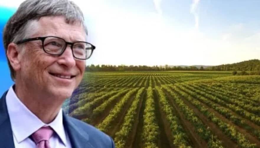 Tulsi Gabard udarila na Gejtsa: "Njegove hemikalije izazivaju transrodnu epidemiju"