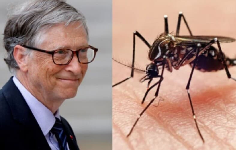  Bil Gejts pustio milijarde GM komaraca nakon čega je izbila smrtonosna epidemija malarije u SAD