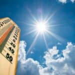 Aktivizam „klimatskih promena“ raste da bi se uništila globalna stočarska industrija koja omogućava život za 1,3 milijarde ljudi