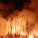 Prvo je bio Covid – sada nas plaše klimatskim promenama