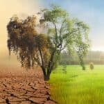 Korporativni mediji ponovo fokusiraju pažnju na klimatsku propast