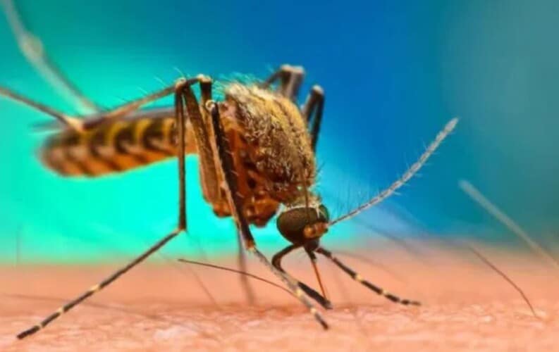 CIA je sprovela tajne eksperimente sa komarcima u Indiji kako bi širila „retke i opasne bolesti“