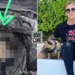 KRIPTO MILIONER i influenser pronađen raskomadan