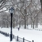 Toplotni talasi su se smanjili tokom poslednjih 75 godina u Sjedinjenim Državama