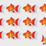 Šest načina da oslobodite svoj um u novom svetu manipulacije