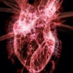 Srčane povrede izazvane COVID vakcinama čak 3000x više nego što zvaničnici priznaju otkriva Studija