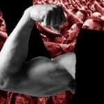 Mediji: Ako posećujete teretanu i vežbate Vi ste desničar i nacista