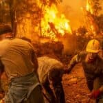 Grčki zvaničnici priznaju da su požare započeli ljudi ne "klimatske promene"! U ITALIJI uhvaćeni na delu (VIDEO)