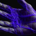 Vene u vašim šakama su sledeća meta za biometrijsko skeniranje DIGITALNOG ID-a