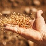 13 nacija infiltriranih u Svetski ekonomski forum pristale su da izazovu globalnu GLAD da bi „spasile planetu“